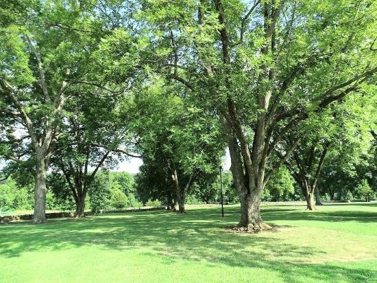 E. Carroll Joyner Park